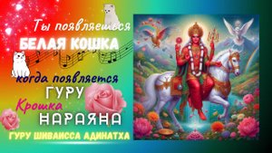 Ты появляешься белая Кошка когда появляется Гуру Крошка Нараяна