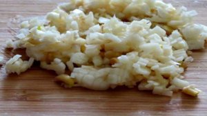 Сальтисон куриный