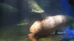 Нячанг, Вьетнам