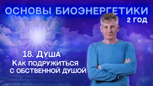 18. Душа. Как подружиться со своей Душой. "Основы Биоэнергетики 2 год",