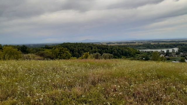 Сростки, фестиваль Шукшина 2023 г. Гора Пикет. смотреть онлайн