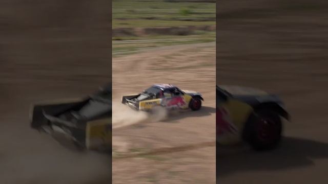SШОРТЫ by FRANK AUTO | 7