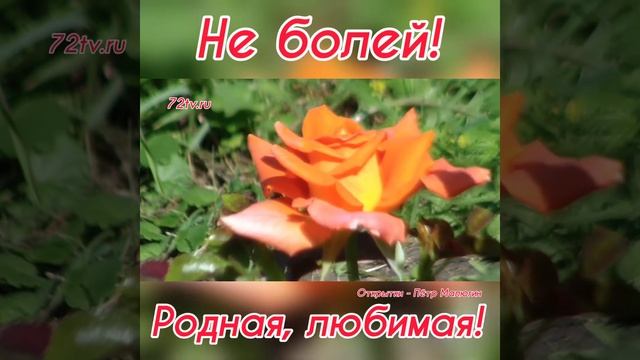 Пожелание - Не болей любимая родная! смотреть онлайн