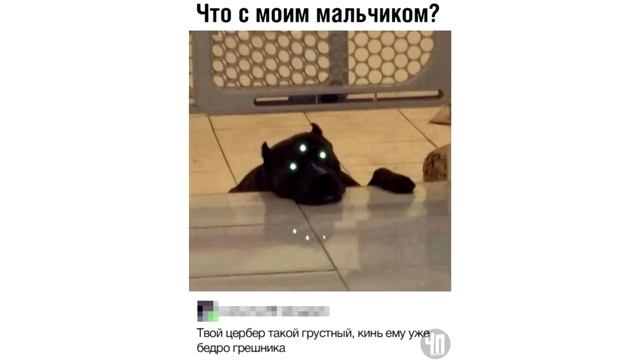 Лютые Приколы Ох уж эта показуха -ШЛЁП -фьють-фьють -Выпендрёжник чёртов угарные мемы смотреть онлайн