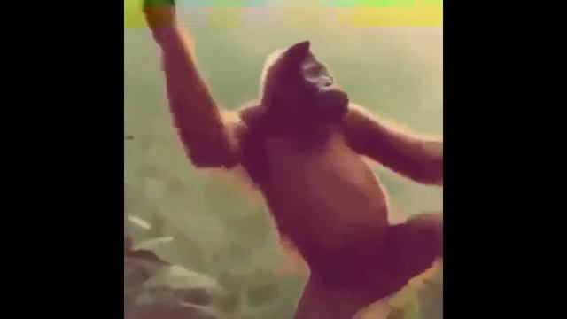 не детские приколы смех до слез,ржу не могу 18+