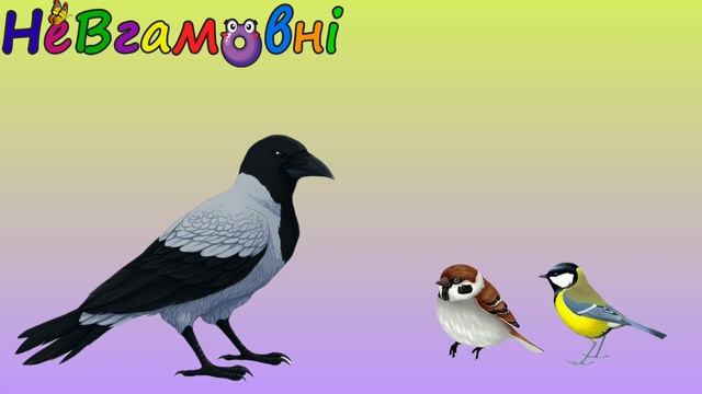 Логіко-математичний розвиток. Заняття в молодшій групі смотреть онлайн