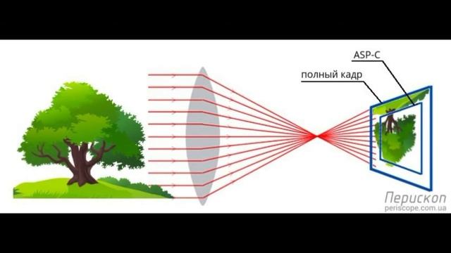 Лаборатория "Мультимедийная студия" - педагог Дакаева Хава смотреть онлайн