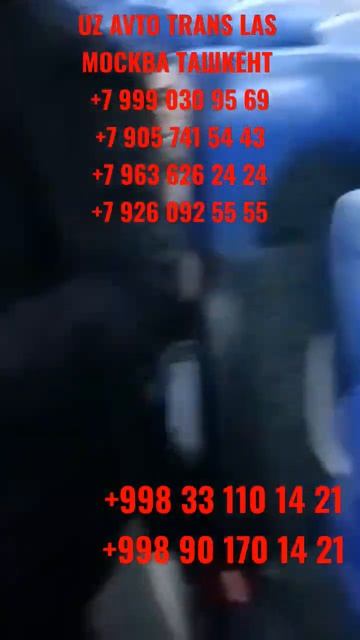 Москва ташкент автобус смотреть онлайн