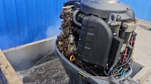 Yamaha F50 (1012779)