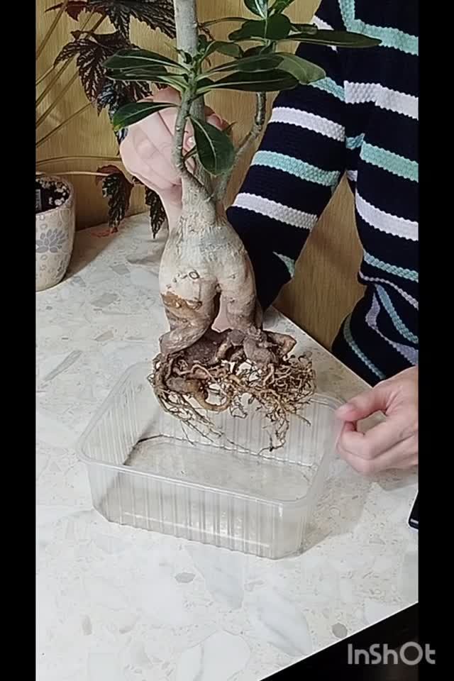1000003919.mp4
