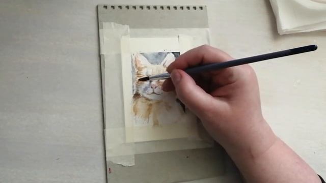 Солнечный кот | Sun cat