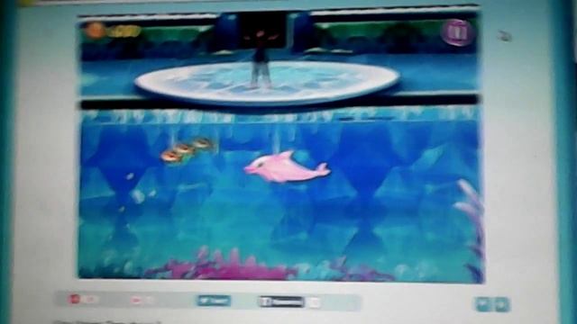 Игра шоу моего дельфина 8 смотреть онлайн