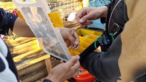 Яхт-клуб "Парусная Академия", 2024.