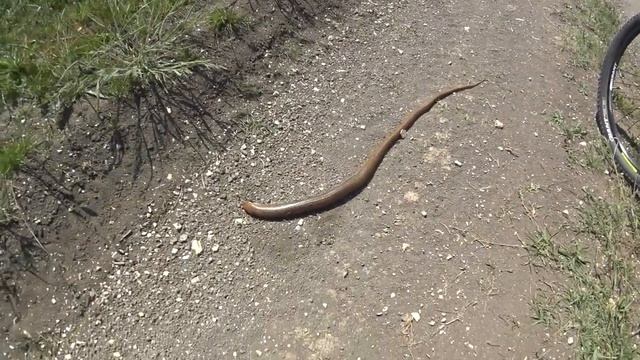 ВелоКрым Часть 1. Керчинский полуостров смотреть онлайн