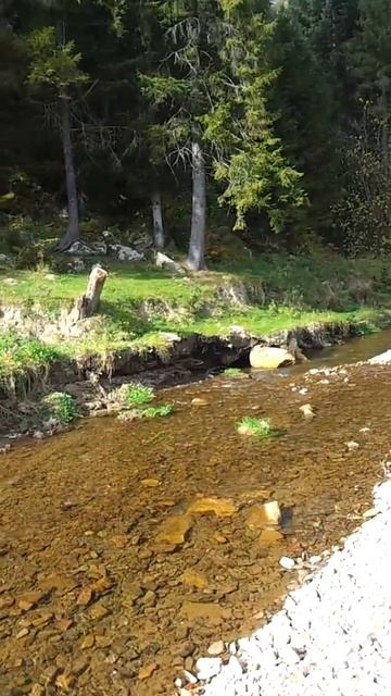 Карпаты. Сколе. Национальный заповедник смотреть онлайн