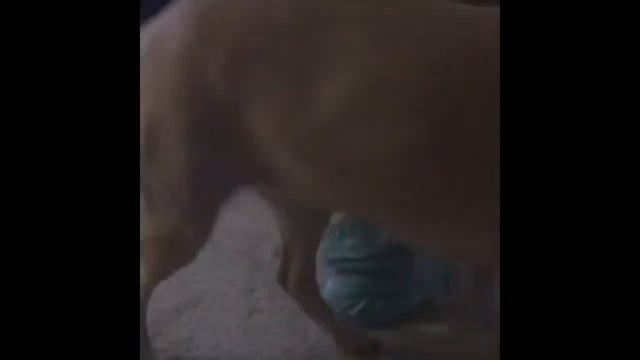 Нарезка приколов с детьми ,ТОП приколы , приколы с детьми. смотреть онлайн