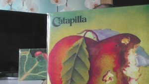 Catapilla или вой ведьмы.