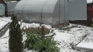"Новый год" на Майские// Шашлыкам погода не помеха