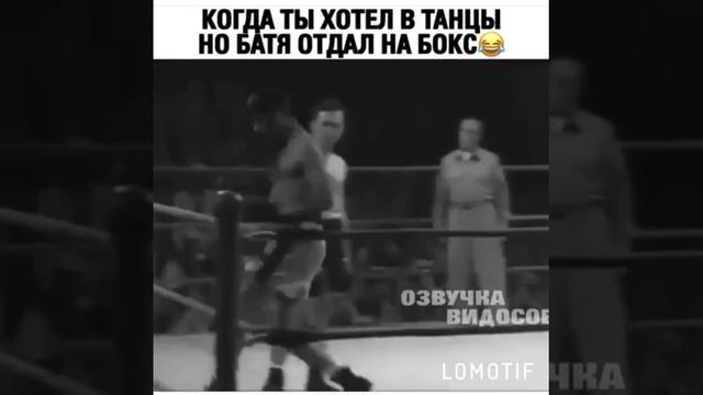 бокс