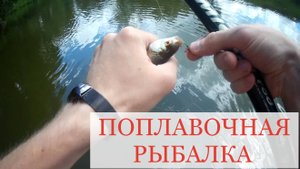 Рыбалка на поплавок с воды. Лето 2024