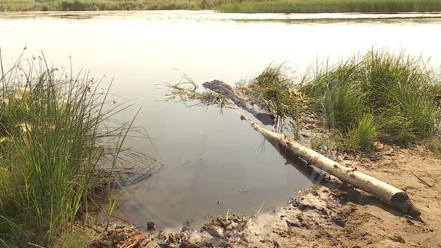 С начала в года в Костанае утонуло 6 человек, среди них один несовершеннолетний смотреть онлайн