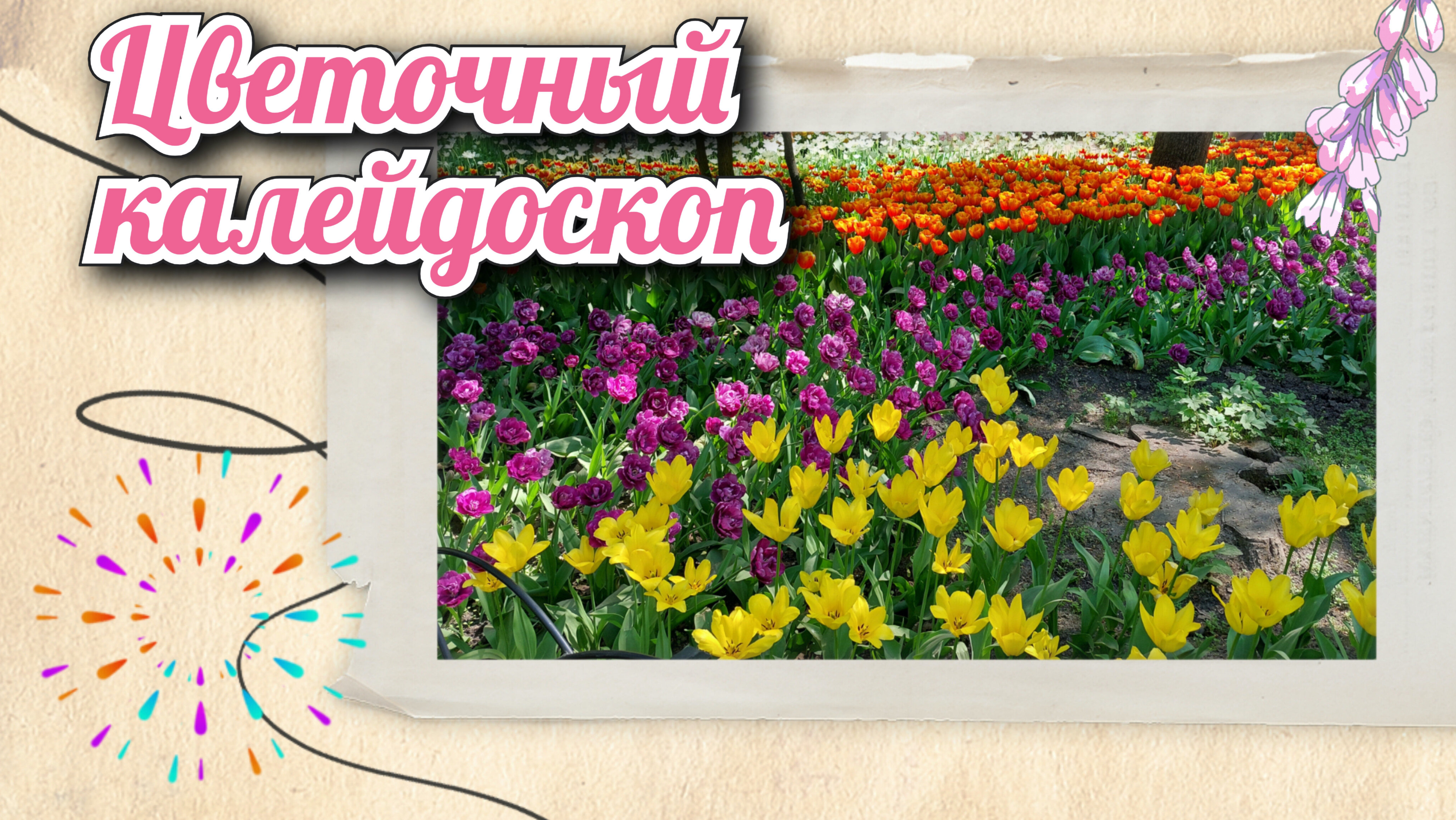 ЦВЕТОЧНЫЙ КАЛЕЙДОСКОП