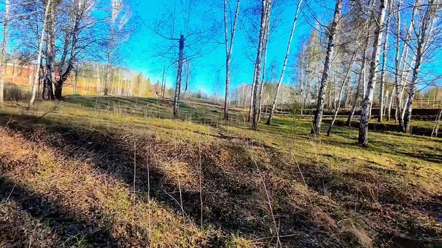 Have a nice evening смотреть онлайн