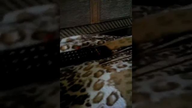 Как сделать копилку
