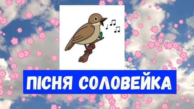 ПІСНЯ СОЛОВ'Я \ Аудіоказка НА НІЧ \ Українська народна казка \ #казкананіч #аудіоказка #українською