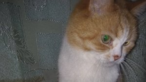 Подстава года😱😱😱 ...😼 😽