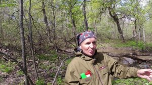 Пришли медведи, фотоловушку на трос! Лес, поход.