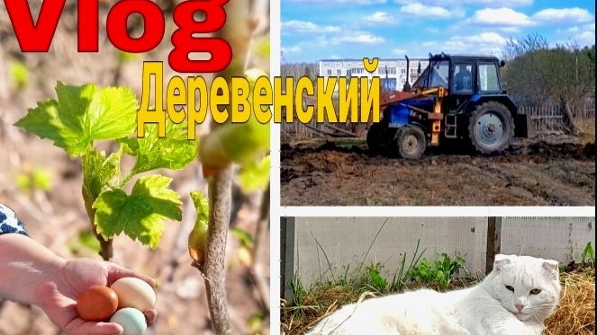 Vlog: Деревенский || Готовим огород к посадкам || Мир. Труд. Май смотреть онлайн