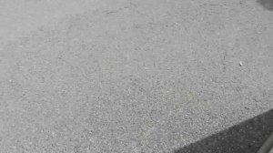 НОВЫЙ ПОхОД на БАРАХОЛКУ в ГЕРМАНИИ! НАШЛА АНТИКВАРНУЮ САХАРНИЦУ - ВОСТОРГ! ФАРФОР! ВИНТАЖ!