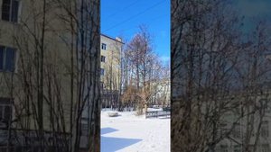 #мурманск проспект Ленина, 79...