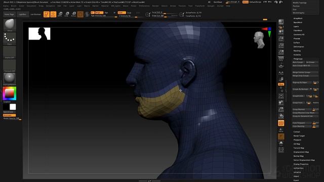 11 Import Mesh