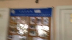 Интервью кота)))) марта, конный спорт. Влог)