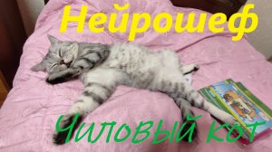 Нейрошеф - Чиловый кот