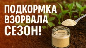 Подкормка, Которая Взорвала Сезон! Все Хвалят и Применяют