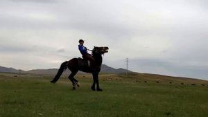 ЛОШАДКА  ТАНЦУЕТ ЛИЗГИНКУ