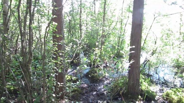 На щучьем смотреть онлайн