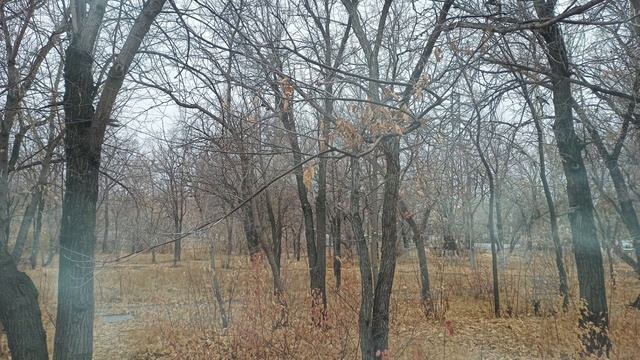 Женщинам верить нельзя - интересные истории | Слушать рассказы смотреть онлайн