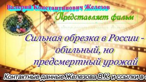 Сильная обрезка в России - обильный, но предсмертный урожай