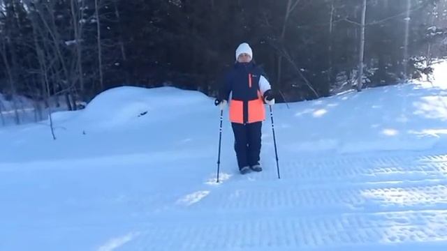 Комплекс упражнений "Скандинавская ходьба"