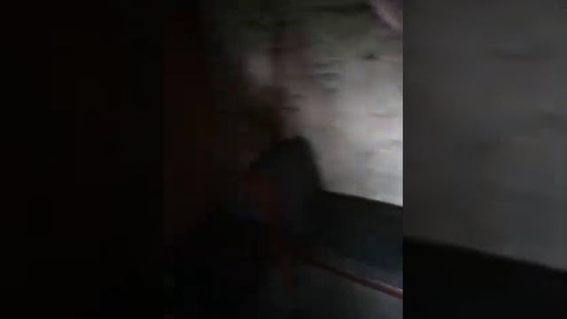 👩🌾🏘️старинная ирландская хата