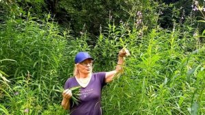 В одной деревне жил парень Иван, который любил гулять в лесу в рубахе фиолетового цвета.