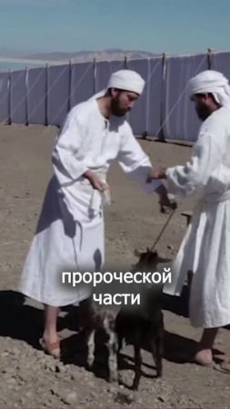 Постижение смысла Жертвы - Субботняя школа #shorts #адвентист #Библия #Иисус
