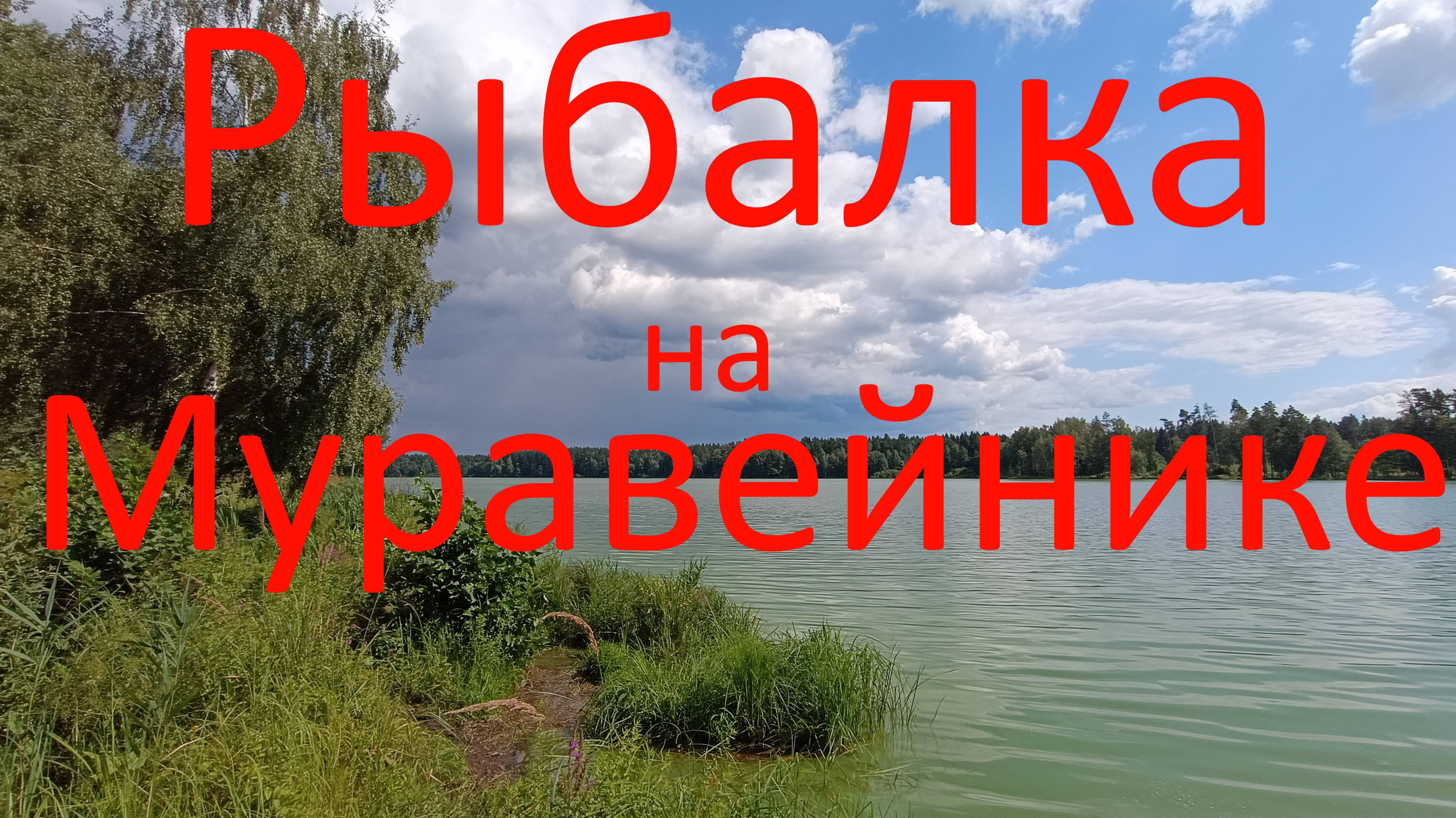 Рыбалка на Муравейнике. Рыбхоз Гжелка. 25.07.2024г.
