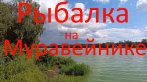 Рыбалка на Муравейнике. Рыбхоз Гжелка. 25.07.2024г.