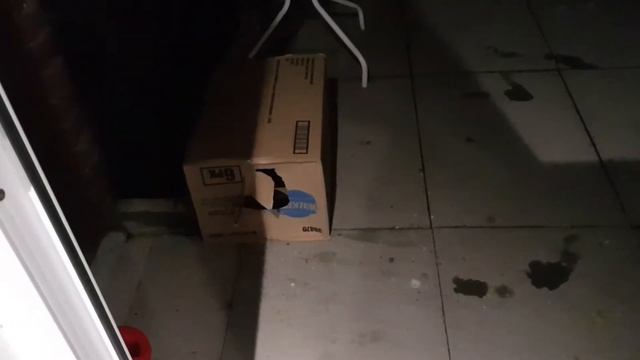 87. Из жизни отдыхающих. смотреть онлайн