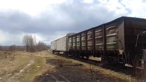 Тепловоз ТГМ4-2522 с грузовыми вагонами следует по подъездному пути к станции "Клин".